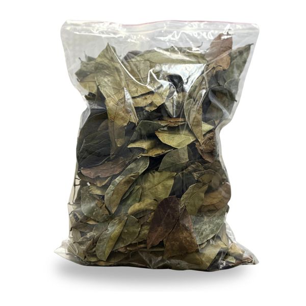 Premium Bulk Soursop Leaves - 100% Natural