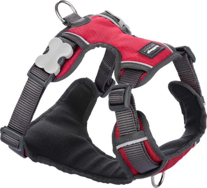 Red Dingo Padded Harness - Large - Red L