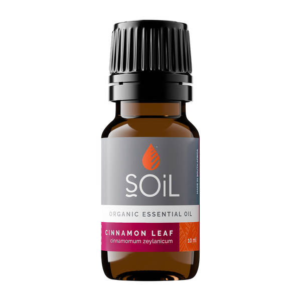 SOiL Organic Cinnamon 10ml (Cinnamoumm zeylanicum Leaf Oil)