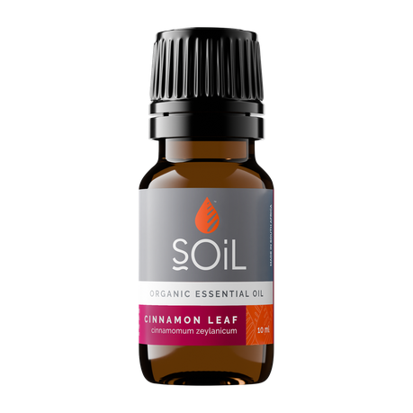 SOiL Organic Cinnamon 10ml (Cinnamoumm zeylanicum Leaf Oil) | Shop