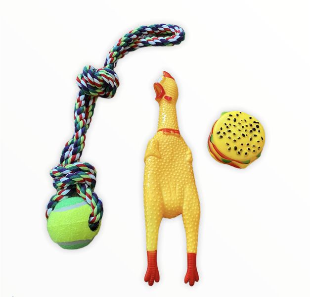 Dog Toys Set of 3 Shrilling Chicken/Rope Ball/Burger
