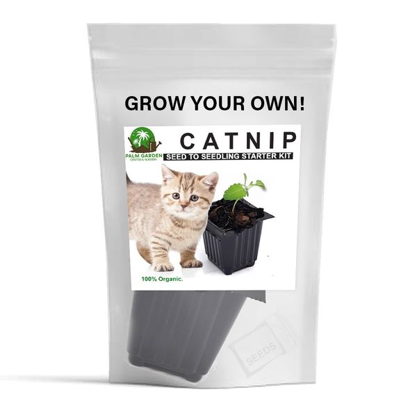 Palm Garden Grow Your Own Catnip Plant - Seed to Seedling Kit