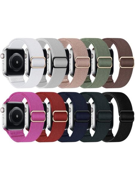 Ten piece Apple Watch Strap Accessory set (Fits 38/40/41)