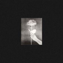 Day By Day (Vinyl / 12" Album)