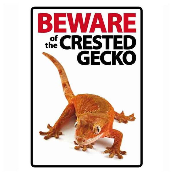 Beware of the Crested Gecko