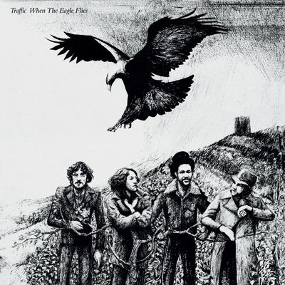 When the Eagle Flies (Vinyl / 12" Album)
