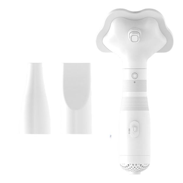 2-in-1 Pet Electric Hair Dryer Brush Grooming for Dogs Cats