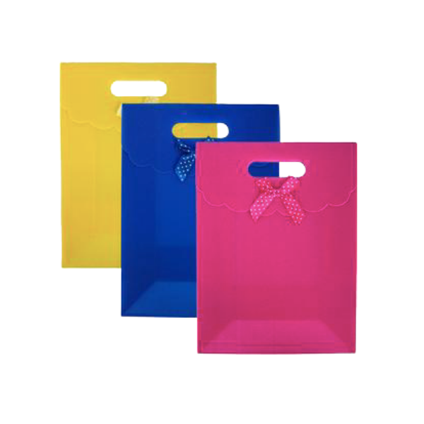 Assorted Colours Gift Bag Medium