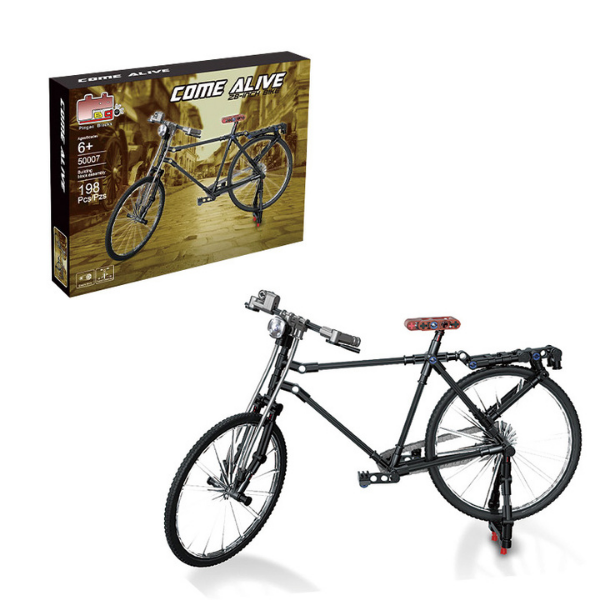 Classical Bike Model Puzzle