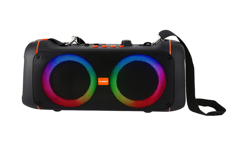 Fussion FR-6017 Portable Radio Player