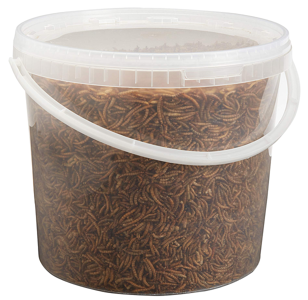 Dried Mealworms - 700g
