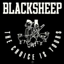 The Choice Is Yours (Vinyl / 7" Single)