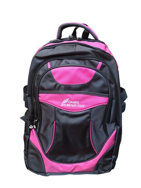 Camel Mountain Laptop Backpack - New Pink