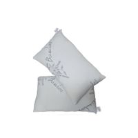 Set of 2 Bamboo Standard Pillows