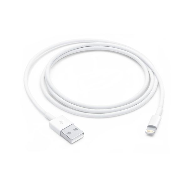Lightning to USB Cable (1 m) Original