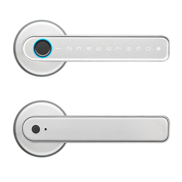 Intelligent Door Lock via TUYA H5S