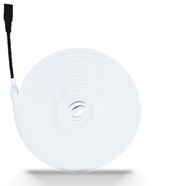 12V 5M Neon Flex LED Strip Lights. BT