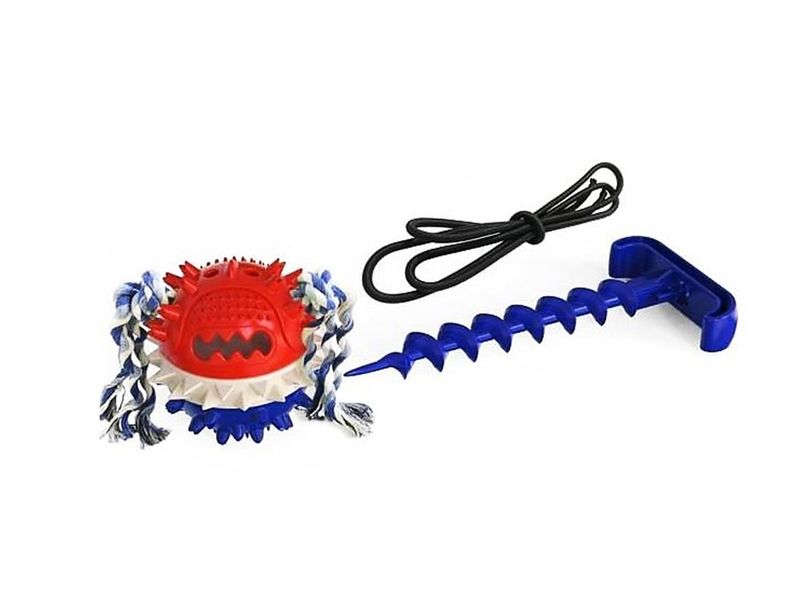 Outdoor Screw In Tug Of War Toy - Blue