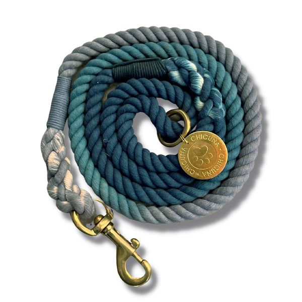 Thick Rope, With Handle - Blue Ombre image
