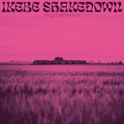 Kings Left Behind (Vinyl / 12" Album)
