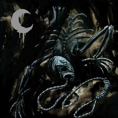 A Silhouette in Splinters (Vinyl / 12" Album Coloured Vinyl)