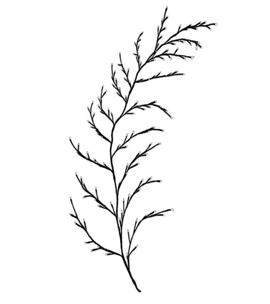 GLS-135 Enchanted LED Willow Black Vine Warm White Christamas Tree Light