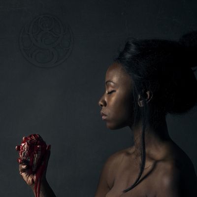 The Banished Heart (Vinyl / 12" Album)