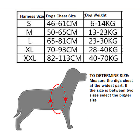 how do you measure ezydog harness