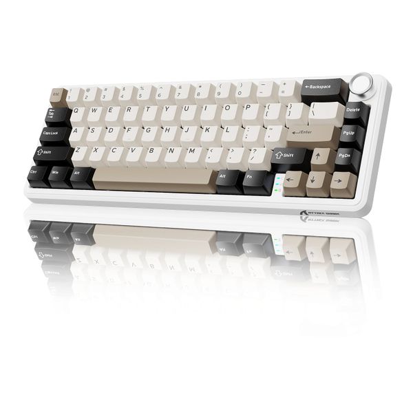 65% Wireless Gaming Keyboard image