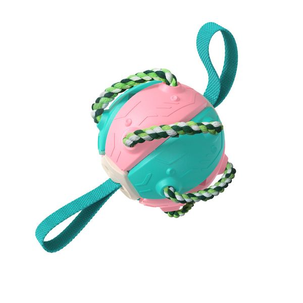 2 in 1 Pet Outdoor Training Frisbee Interactive Dog Football Toy