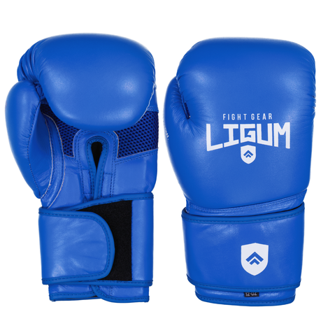Cheap blue boxing gloves - Blue boxing gloves at the best price