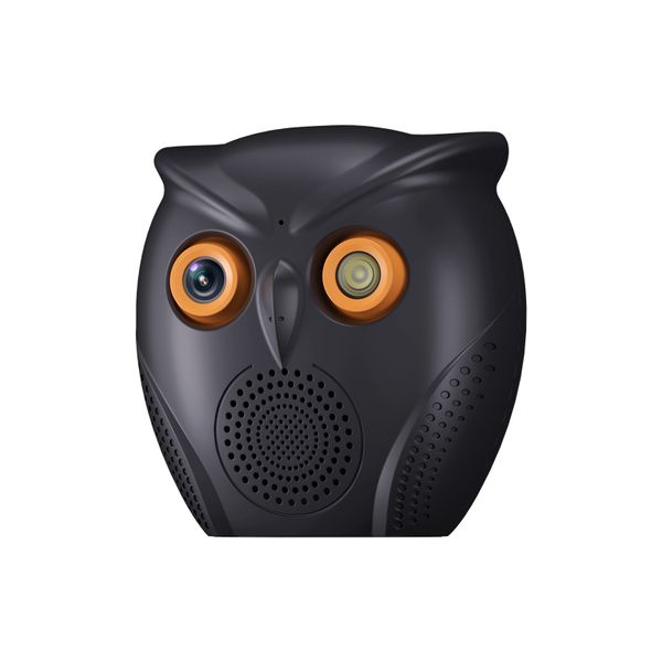 Owl Mini Wireless Security Camera: Audio, Night Vision, HD, Compact Design