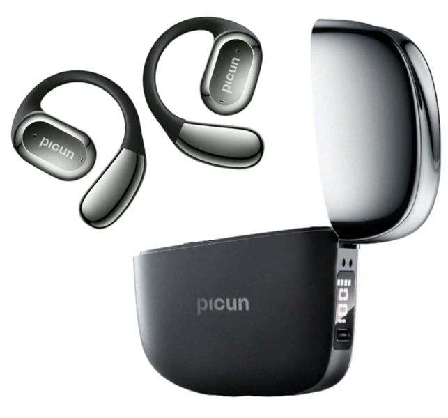 PICUN - H1S - Voice Control Earbuds With LED Power Display Case - Black