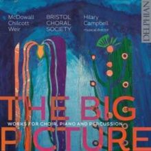 The Big Picture (CD / Album (Jewel Case))