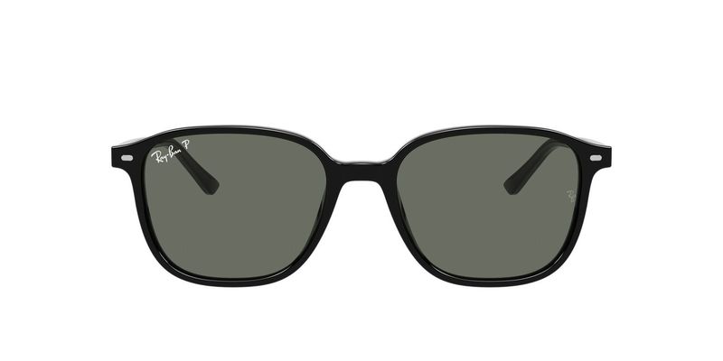 Ray-Ban Leonard RB2193 901/58 53 Polarized Sunglasses