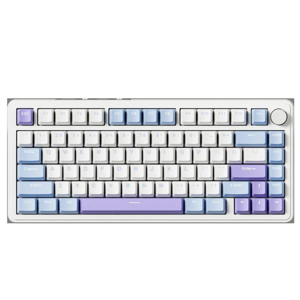Mechanical Gaming Keyboard USB 2.4G BT5.0 Hot-Swappable White Jade Switch