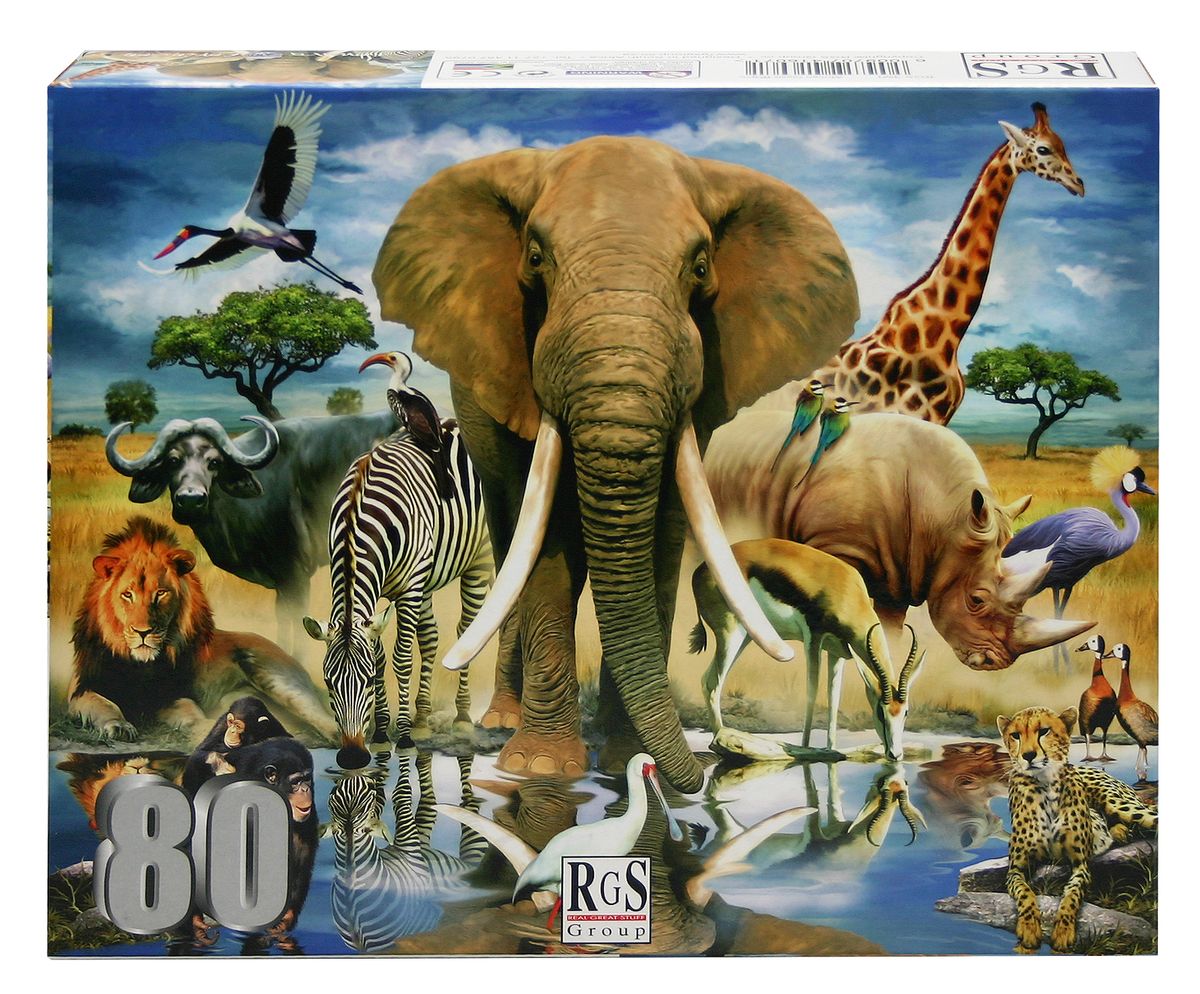 RGS Group African Oasis 80 Piece Jigsaw Puzzle | Buy Online in South Africa  