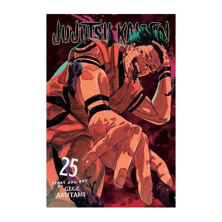 Jujutsu Kaisen, Vol. 25 Image