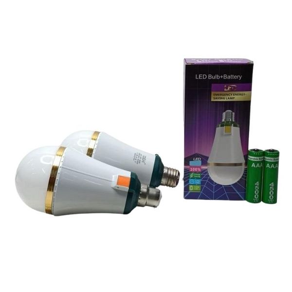 DX-FG30 30W LED Bulbs With Batteries
