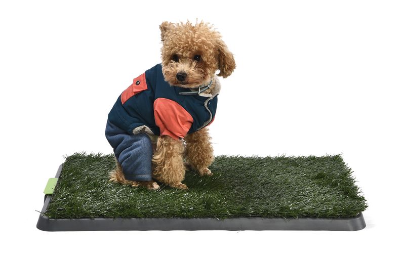 Zabava 3 Tier Puppy Dog Pet Training Artificial Grass Potty Patch Tray XL
