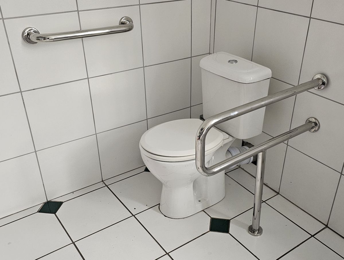 Toilet assist and Shower/bathroom safety handrail combo
