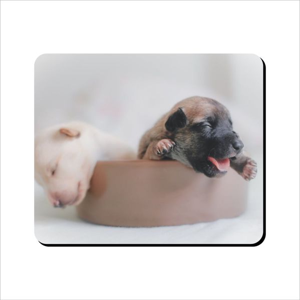 Mouse Pad - Cute Tiny Puppies