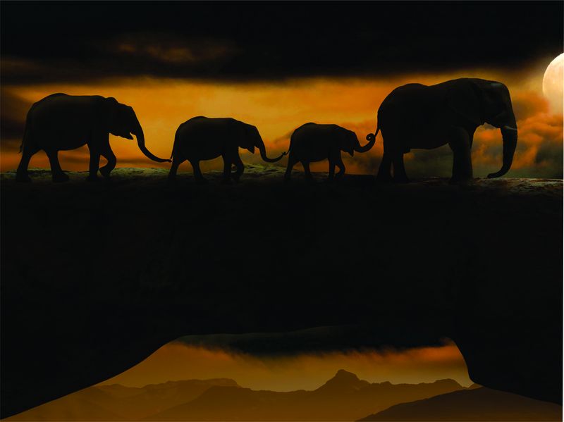 Laptop Skin - Sticker - Family of Elephants