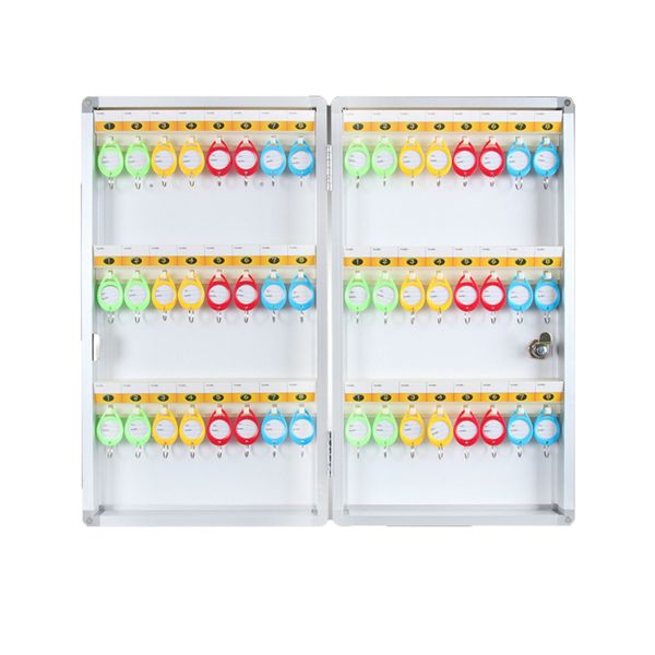 48-Key Wall-Mounted Key Holder with Hooks and Labels