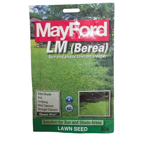 MayFord LM Berea Lawn Seed 30g. Sun and Shade Tolerant Creeper