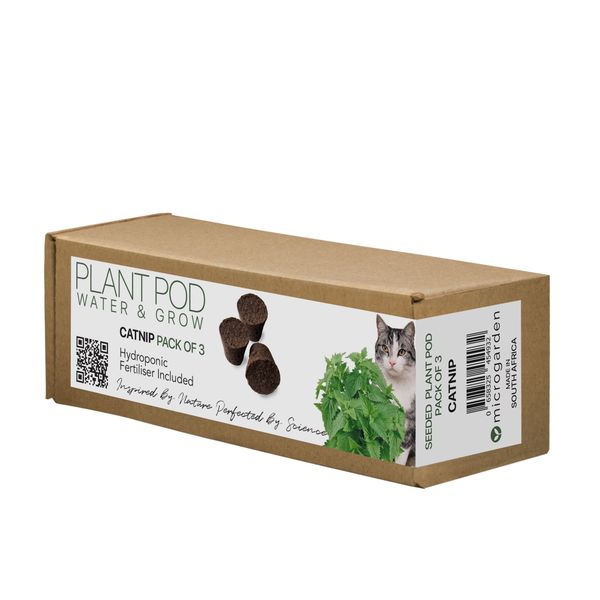 PLANT POD - Catnip - Pack of 3