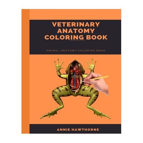 Veterinary Anatomy Coloring Book: Animal Anatomy Coloring Book | Buy Online  in South Africa 