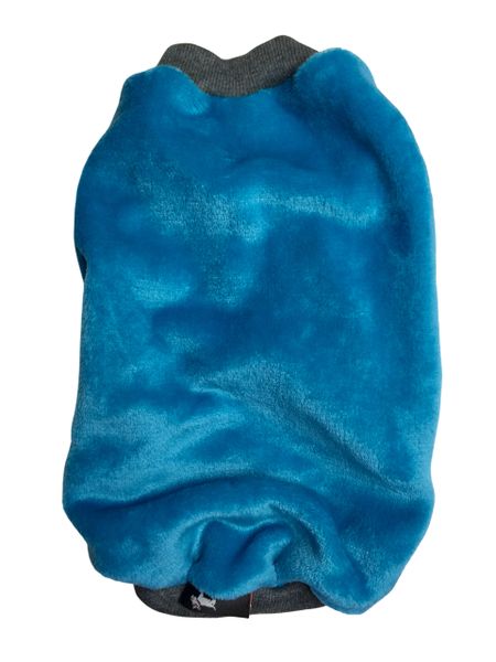 6xl Dog Jersey - in Turquoise