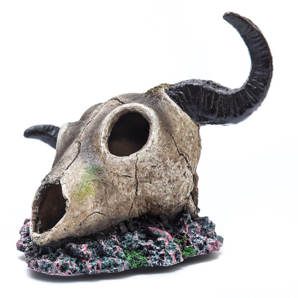 Buck Skull for Terrarium
