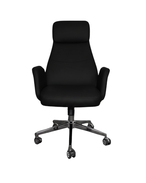 Black Drakensberg Executive Ergonomic Chair - Black